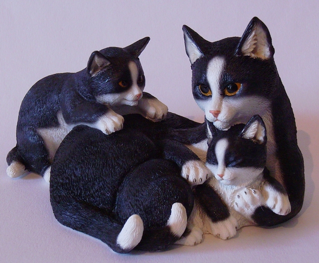 Katzenfamilie , Schwarz/weiß